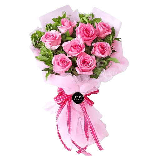 Pink Collection