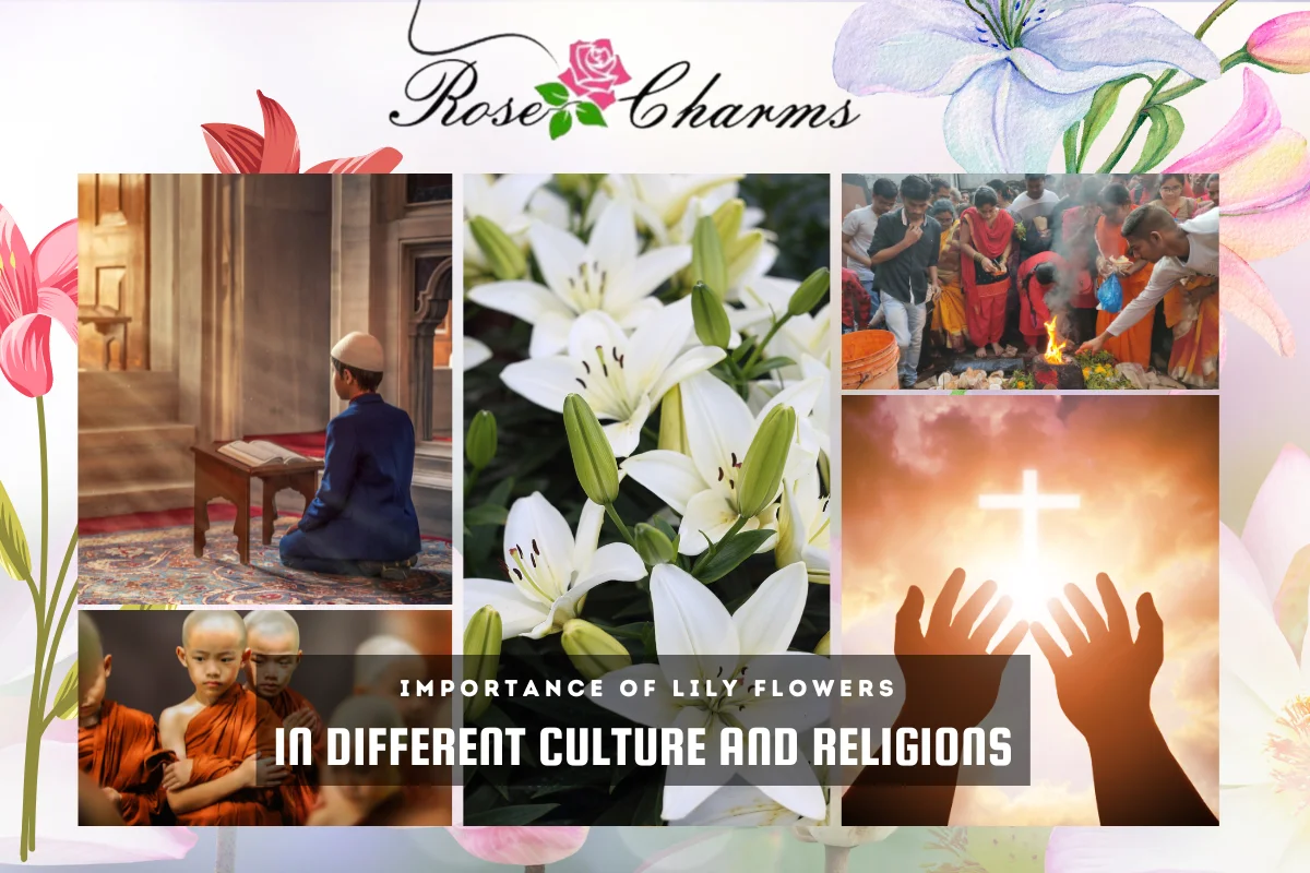 Importance of Lily Flowers in Different Cultures and Religions