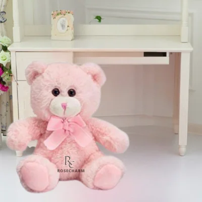 Pink Small Teddy Bear