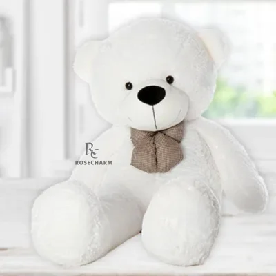 White Big Teddy Bear