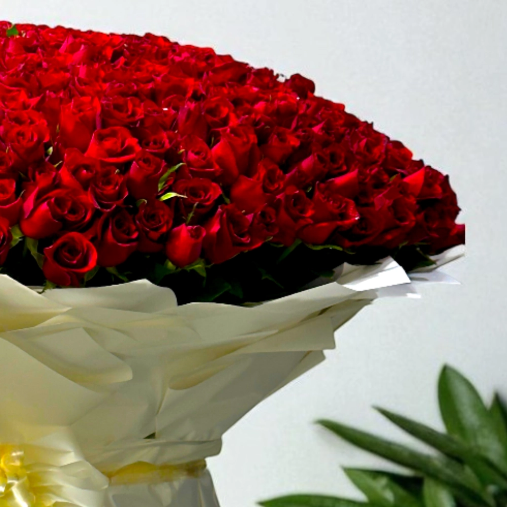 Bouquet of 500 Red Roses with nice wrapping