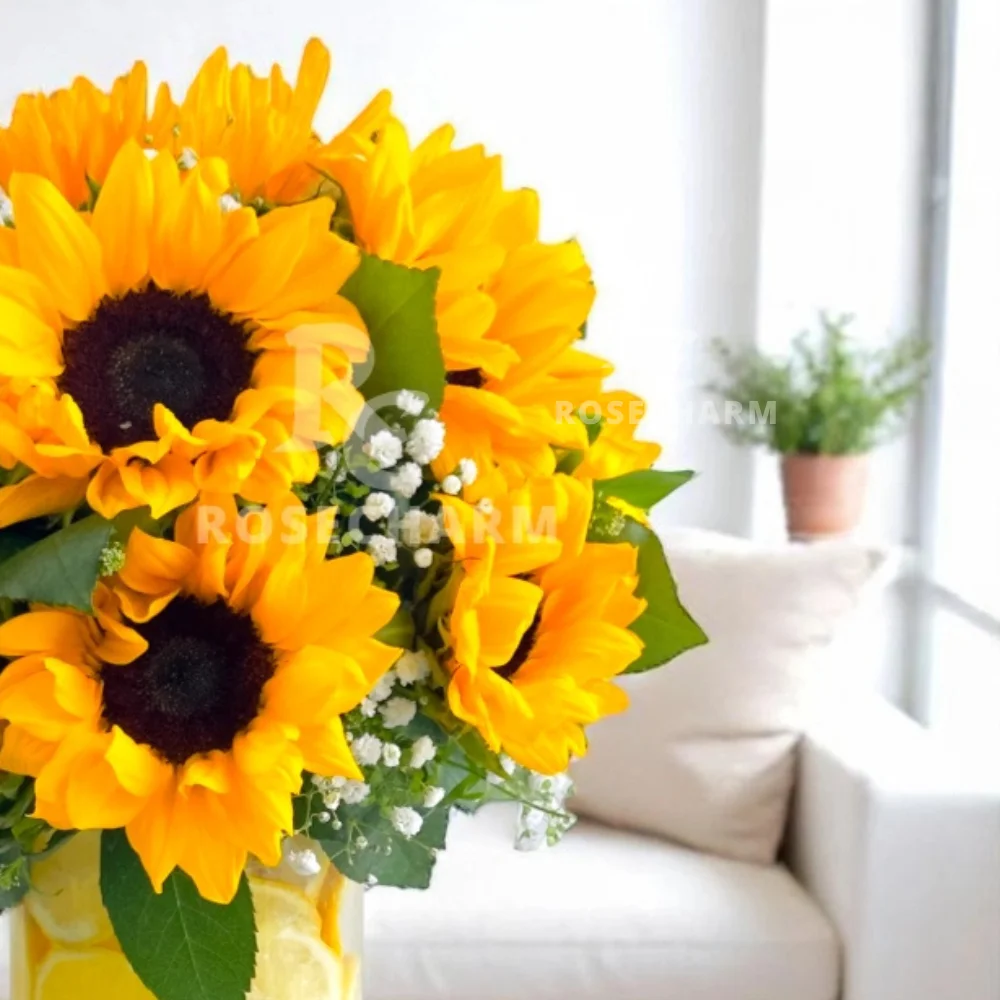 X2iyEmINqHON4V9bvOEvvgp6XJK2bl6Q7Cuy0wLM