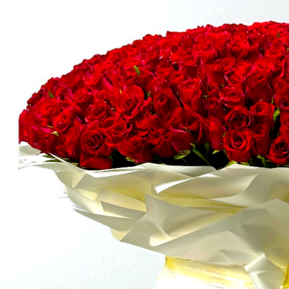 Bouquet of 500 Red Roses with nice wrapping