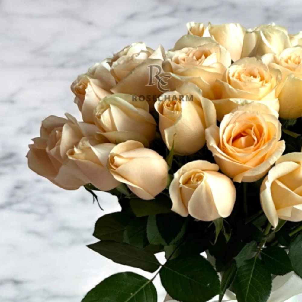 Peach roses in a glass vase