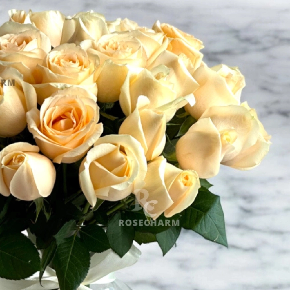 Peach roses in a glass vase