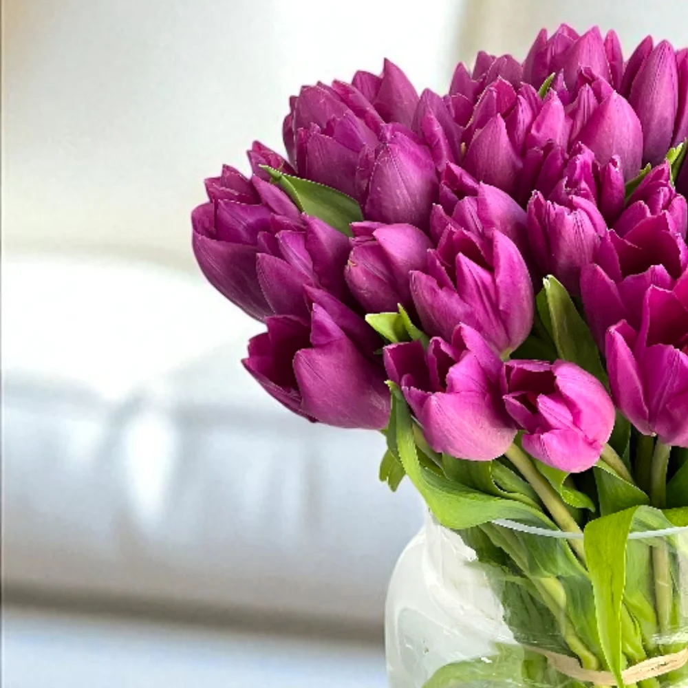 KRO9wp2WIKMNBPZOtjggCA3QMHK4RdSvBQDamvKp