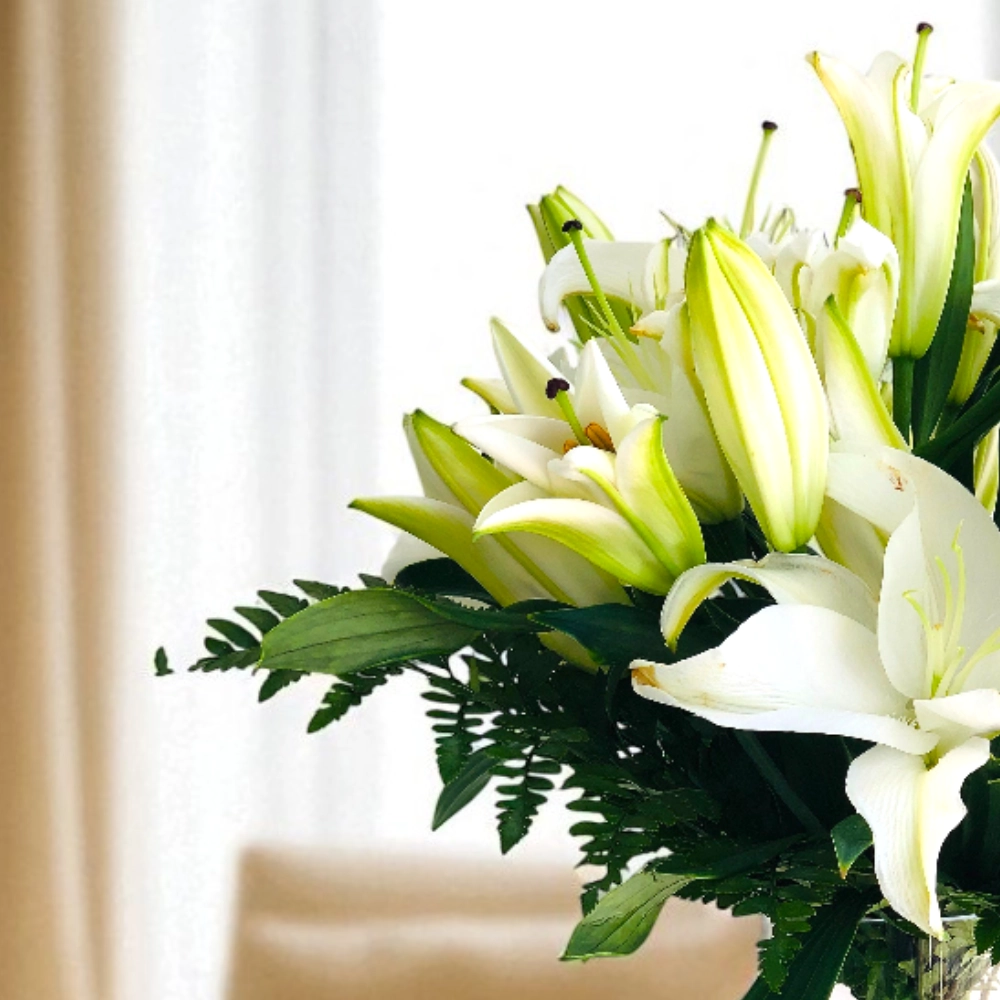 LJQT8shpanXTD4bmEzaMFLBJOej8vmb9lIfKL1dZ