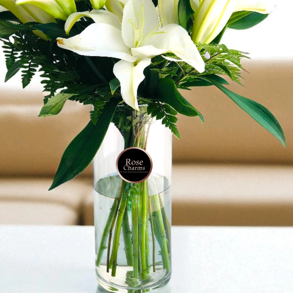 LiJh8TZdtGc2bfmNfpfbrrYimzQqPMFZzG70nmMj