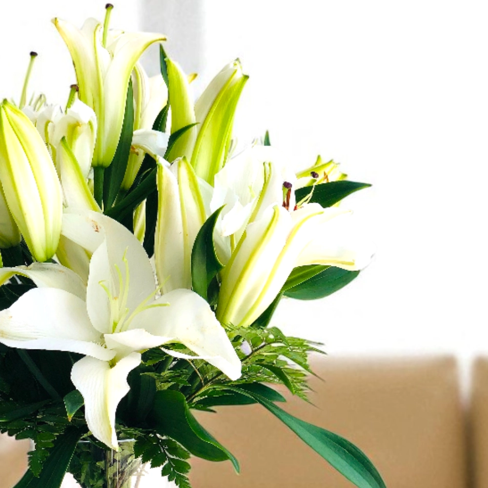 O8j74QLm2sJFC1JWCbkRY0V5oPL4kcyjOMmi9g7p