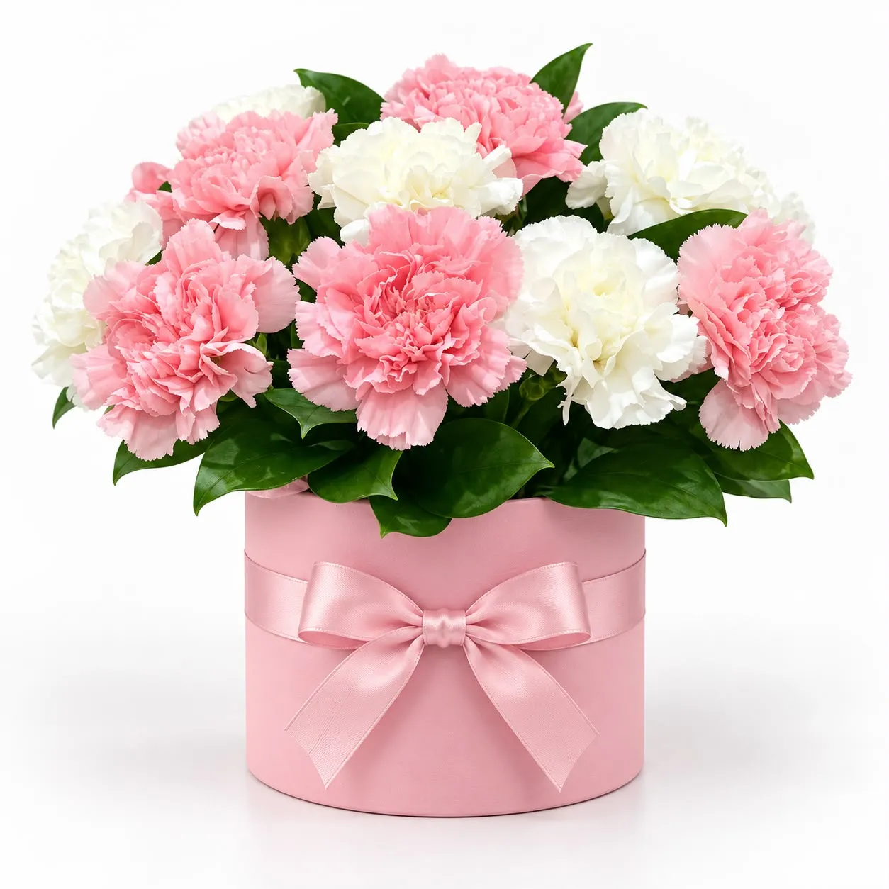 Delightful 15 pink and white carnations box with 8 pink and 7 white blooms from RoseCharmFlowers