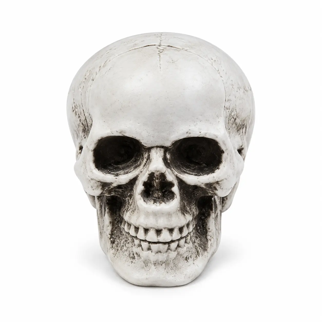 Mini-Decorative-Skull-2